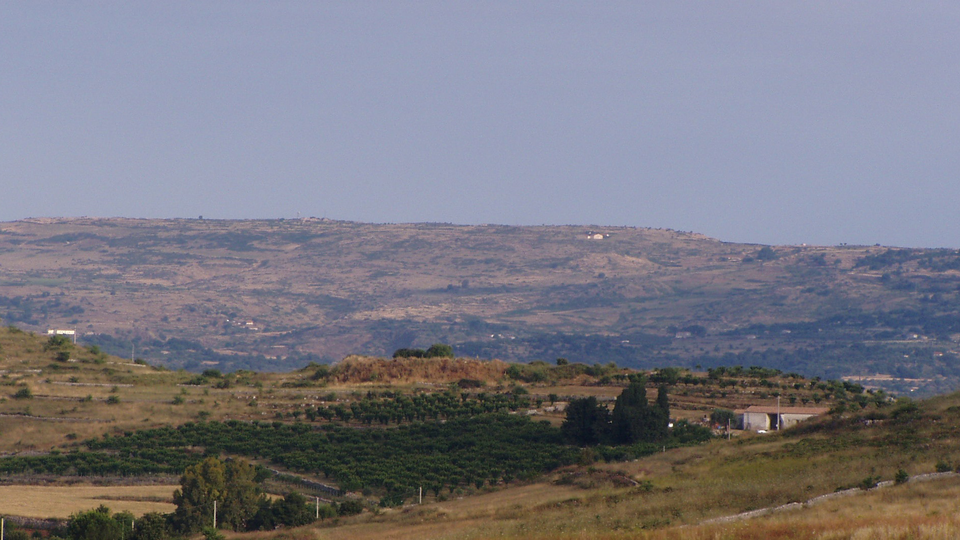 azienda agricola s. andrea